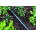 Grampos de Jardim - Grau Profissional - Comprimento Completo de 6 &quot;- Aço Metálico Durável de 11Gauge - (Também Chamado de Agrafos de SOD, Espigões de Jardim, Âncoras de Cerca, Fabrico de Paisagens